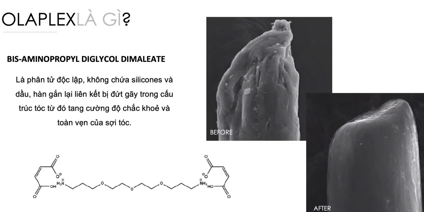 Olaplex là gì